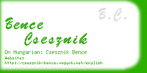 bence csesznik business card